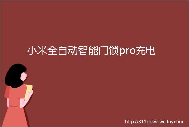 小米全自动智能门锁pro充电